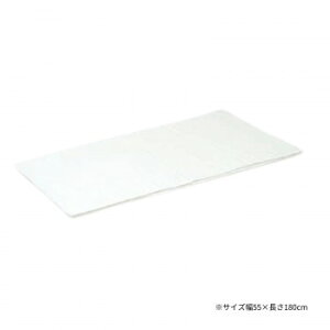 yizcxbh쏊 ᔽ}bgpȐJo[ 55×180cm  C-1238y񂹕iAԕiLZsBiIAz