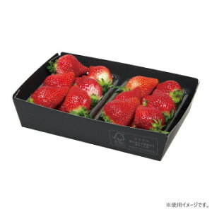 yiz}jpbP[W g[  FS 400 L-490FSy񂹕iAԕiLZsBiIAz