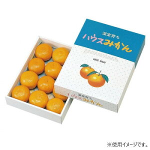 yiz}jpbP[W nEX݂ 100 L-330y񂹕iAԕiLZsBiIAz