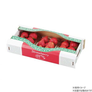 yiz}jpbP[W Xgx[{bNX3P 100 L-2229y񂹕iAԕiLZsBiIAz