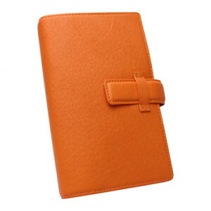 ASHFORD AVtH[h VXe蒠 Vt BIBLE 15mm belt IW 7213-084y񂹕iAԕiLZsBiIAz