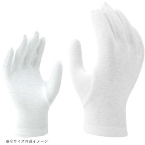 쏤 G[X XX }`t STCY 12o AG604y񂹕iAԕiLZsBiIAz