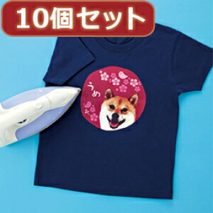 y×2Zbgz10ZbgCNWFbgJ[zpACvg JP-TPRCLNA6X10yT[rXsA񂹕iLZԕisAˑRIiz