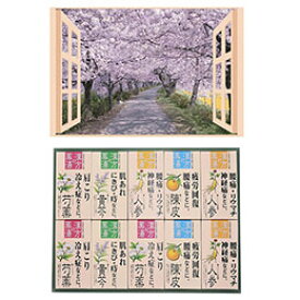 昭プラ お風呂のポスター 四季彩 桜並木 + 薬用入浴剤ギフトセット B6133529+8095651【割引不可、取り寄せ品キャンセル返品不可、突然終了欠品あり】
