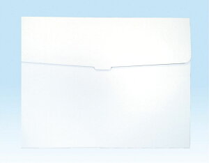 作品収納ケース 特大 の通販 価格比較 価格 Com