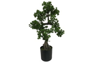 yiE労Ӊi zACeA ܗt60 AT-55-011 350×H600 160×H150 artificial bonsai