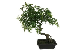 yiE労Ӊi zACeA gt AT-55-014 W450×D350×H450 W220×D160×H70 artificial bonsai