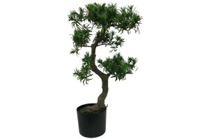 yiE労Ӊi zACeA }L70 AT-55-013 400×H700 120×H120 artificial bonsai