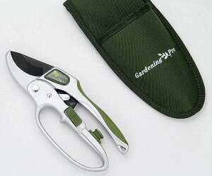 yiE労Ӊizp[Abv SGS-25 00004331 KAKURI c[ZNV16 c[