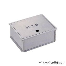 三栄 SANEI 散水栓ボックス(床面用) R81-5-250X300【楽天倉庫直送h】【返品キャンセル不可】