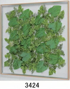 労Ӊi ^CeAO[ 3424 iBsEsEԕiLZEs ϗtA Ǌ| fBXvC z  G ObY ^CeAO[ 3424