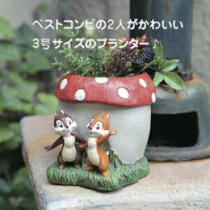 鉢 3号 ディズニーの人気商品 通販 価格比較 価格 Com