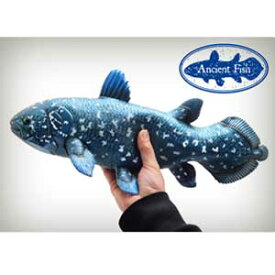 楽天市場 リアルフィギュア 魚の通販