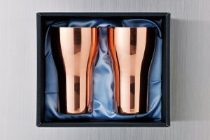 yiE労Ӊiz2017 STAGE GIFT CATALOG Xe[WMtgJ^O SR-I^u[2PCS 229V[Y