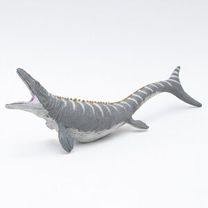 yiE労ӉizTTEX rj[f 70692 FD-317  