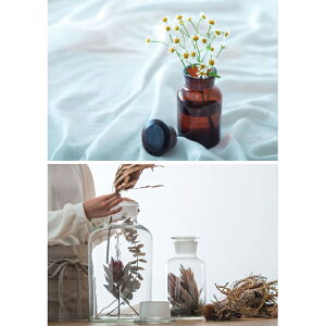 yizfBV{g W2500 14×H30 POSH LIVING 2022 Collection GREEN 291V[YywVizCeA CeA u ԕr ϗtA A|bg