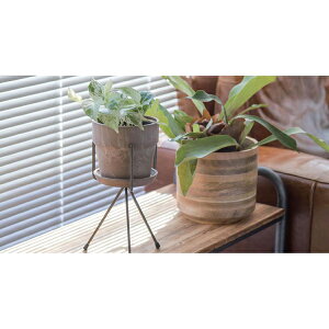 yizA[ovc|bg \bh 13.5×H12.5 `R[/~N/Vi//u[x[/ZT~/Z[W/Lbg/P[ POSH LIVING 2022 Collection GREEN 291V[YywV