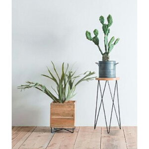 yizT[NX^h 41300 W22.5×D22.5×H30 POSH LIVING 2022 Collection GREEN 291V[YywVizCeA ϗtA  Aؔ v^[ Au