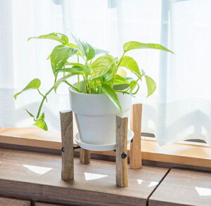 yiztH[fBO|bgX^h 41302 W27×D27×H50 POSH LIVING 2022 Collection GREEN 291V[YywVizCeA ϗtA  Aؔ v^[ Au