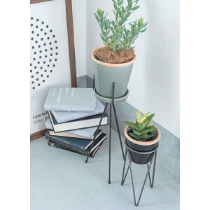 yizgC|bhX^h ubN 63603 W16×D16×H45 POSH LIVING 2022 Collection GREEN 291V[YywVizCeA ϗtA  Aؔ v^[ A