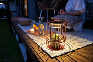 yiz\[[^ ubN/Jbp[ S23-0611-BK/S23-0611-CP 20W×21.5L×30.5H 2023t IWiJ^O 259V[YywVizGNXeA K[ft@j`[ ցEpGNX