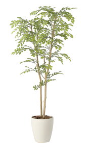�y�����i�z���C�g�g�l���R1.3 2430A240 W60×D50×H130cm ���G�}�l�H�A�� ���̊y�� 2024�y�����s�i�z�C���e���A �l�H�ϗt�A�� �A�[�g�t�����[ �M�t�g ���蕨 ��