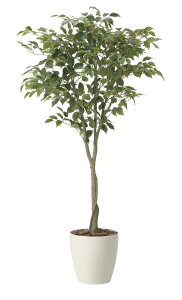 yiztBJXc[1.65 2435A290 W85×D80×H165cm G}lHA ̊y 2024ysizCeA lHϗtA A[gt[ Mtg 蕨 