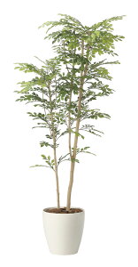 �y�����i�z�c�[�g���g�l���R1.6 2442A380 W73×D50×H160cm ���G�}�l�H�A�� ���̊y�� 2024�y�����s�i�z�C���e���A �l�H�ϗt�A�� �A�[�g�t�����[ �M�t�g ���蕨 ��