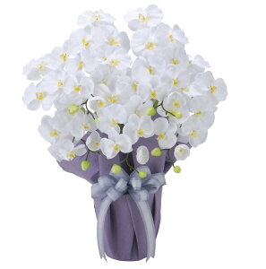 yizӒ 5{W 2464A80 W50×D35×H64cm G}lHA ̊y 2024ysizCeA lHϗtA A[gt[ Mtg 蕨 