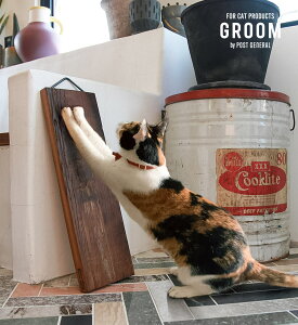 yizؒ܂Ƃ GROOM O[ SLEEPER CAT SCRATCHER 972310009 w540×d170×h30mm POST GENERAL ISSUE010ywVizybg ybgObY Lpi Lbg 