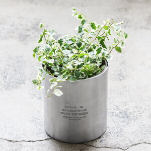 yiz\bhA~i|bgJo[ LTCY 982460004 100×h115mm POST GENERAL ISSUE010ywViz K[f CeA Aؔ Jo[