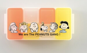 yizXk[s[ L[uXgbJ[6pc SN-306 245×115×55mm 2024 STAGE GIFT CATALOGywVizLb`pi  ۑe XgbJ[