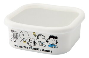 yizXk[s[ z[[XNGAXgbJ[EL SNJ-2315 163×163×62mm 2024 STAGE GIFT CATALOGywVizLb`pi  ۑe  LjX^[