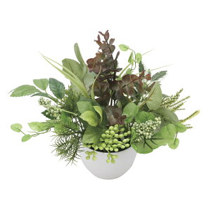 yiz񂹐A[J 2563A40 28×D28×H25cm G}lHA ̊y 2025ysizCeA lHϗtA A[gt[ Mtg 蕨 