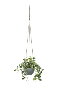 �y�����i�z�y�y���j�A�n���M���N 2581A50 W30×D30×H75cm ���G�}�l�H�A�� ���̊y�� 2025�y�����s�i�z�C���e���A �l�H�ϗt�A�� �A�[�g�t�����[ �M�t�g ���蕨 ��