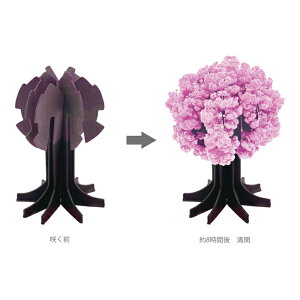 yiz̓s/X 039-385/039-506 H85×W120×D120 { Chatani Catalog vol.46ywVizCeA CeA u I[ig Gߏi