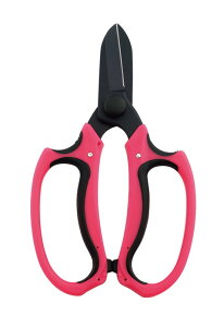 yizlwgĉԐ SV-7459 100×17×175mm 122g 2024 STAGE GIFT CATALOGywViz K[f ԁEϗtApi ԍ t[AWg Ԃ΂