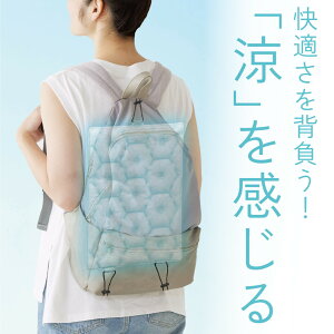 yyVqɒzBacooler(obN[[) 625902 c31×24.5cm 355gysizAEghA W[ oG ΍ pObY