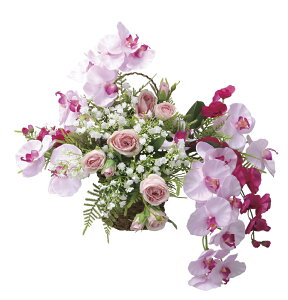 yizǊ|GXt@m 2553A140 W53×D33×H50cm G}lHA ̊y 2025ysizCeA lHϗtA A[gt[ Mtg 蕨 