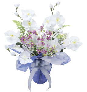 yiza 2587A70 W42×D30×H46cm ԃV[Y G}lHA ̊y 2025ysizCeA lHϗtA   A[gt[ Mtg 蕨 