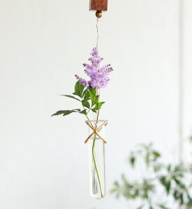 yiznMOt[x[X alten Ae 1001885 a45×h290mm 70g 2025NGSSywVizCeA ԕr t[x[X Ԋ ԓ ֑}