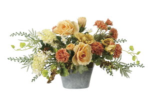 �y�����i�z�X�C�[�g�h���[�� 2653A100 W50×D25×H28cm 4516744362923 ���G�} ���̊y�� 2026�y�����s�i�z�C���e���A �t�F�C�N�O���[�� �l�H�ϗt�A�� �A�[�g�t�����[ �M�t�g ���蕨 ��