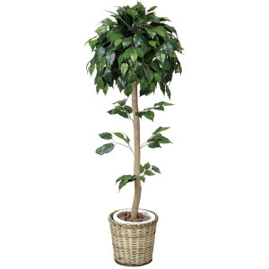 �労�Ӊ��i ���G�}�x���W���~���g�s�A���[ 1.2m 3a4703-170 �����i�B����s�E�����s�E�ԕi�L�����Z���E�����s�� �C���e���A�O���[�� �l�H�ϗt�A���i�摜�킪�ύX�̏ꍇ����j�y�ʓr����