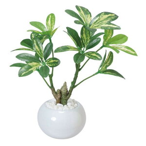 労Ӊi G}VFt|bg 3a5215-30 iBsEsEԕiLZEs CeAO[ lHϗtAi摜킪ύX̏ꍇjyʓr