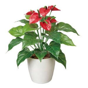 �労�Ӊ��i ���G�}�t���b�V���A���X�����[��M 3a5312-60 �����i�B����s�E�����s�E�ԕi�L�����Z���E�����s�� �C���e���A�O���[�� �l�H�ϗt�A���i�摜�킪�ύX�̏ꍇ����j�y�ʓr������