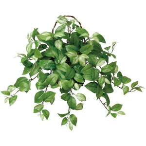 労Ӊi Ǌ|z 3a5501-60 iBsEsEԕiLZEs Ǌ|E[XE^yXg[ ԁyʓrꍇEbsO͗L(s̏ꍇ