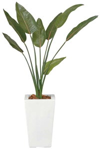 労Ӊi G} Xg`A 1.2m 2a3605-300 132A300 iBsEsEԕiLZEs VzjEJXjEaȂǂ̃MtgɁBi摜킪ύX̏ꍇjyʓr