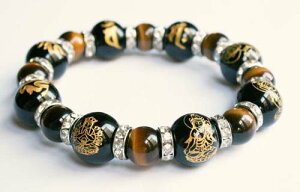 育{̌eƞEdȎ{uXbg rց@@아̑Ɏ育{̌eƞEdȎ{uXbg