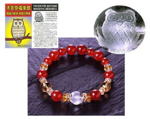 y5w1܂zӂ낤K^FuXbg