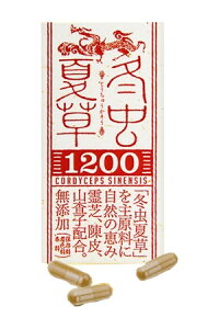 冬虫夏草1200 120粒 送料無料5個で梱包時に1個多く入れます【楽天倉庫直送】冬虫夏草 サプリ冬虫夏草1200